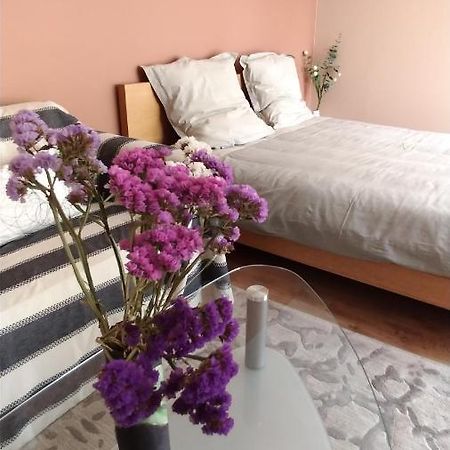 Les 3 Provinces Bed and Breakfast Couffy Eksteriør billede
